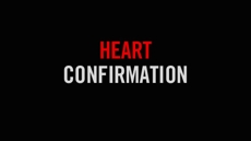 20100610_heart-confirmation-discerning-gods-call_medium_img