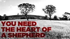 20100906_want-to-be-a-pastor-you-need-the-heart-of-a-shepherd_medium_img
