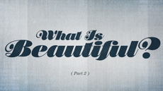 20110920_what-is-beautiful-part-2_medium_img