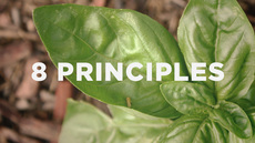 20120507_8-principles-for-churches-that-want-to-grow_medium_img