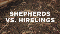 20120614_shepherds-vs-hirelings_medium_img