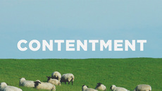 20130521_contentment_medium_img