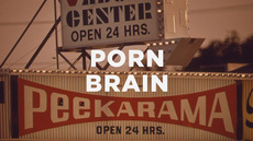 20131231_porn-brain_medium_img