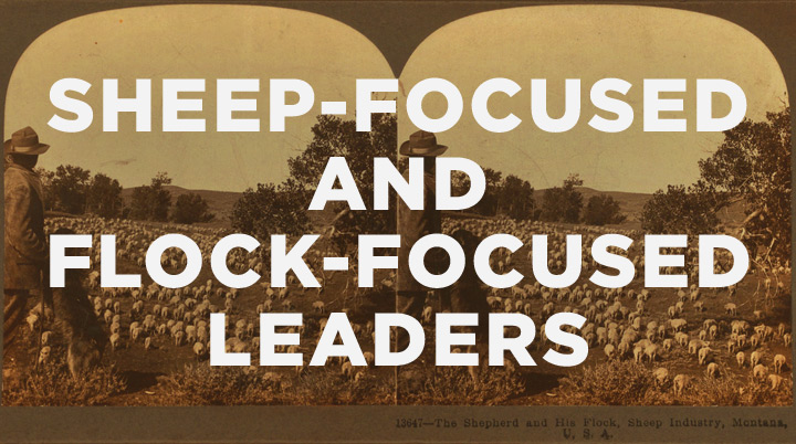 Sheep-focused and flock-focused leaders