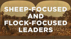 20140118_sheep-focused-and-flock-focused-leaders_medium_img