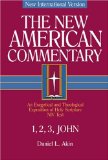 The New American Commentary Volume 38 - 1,2,3 John by Daniel Akin
